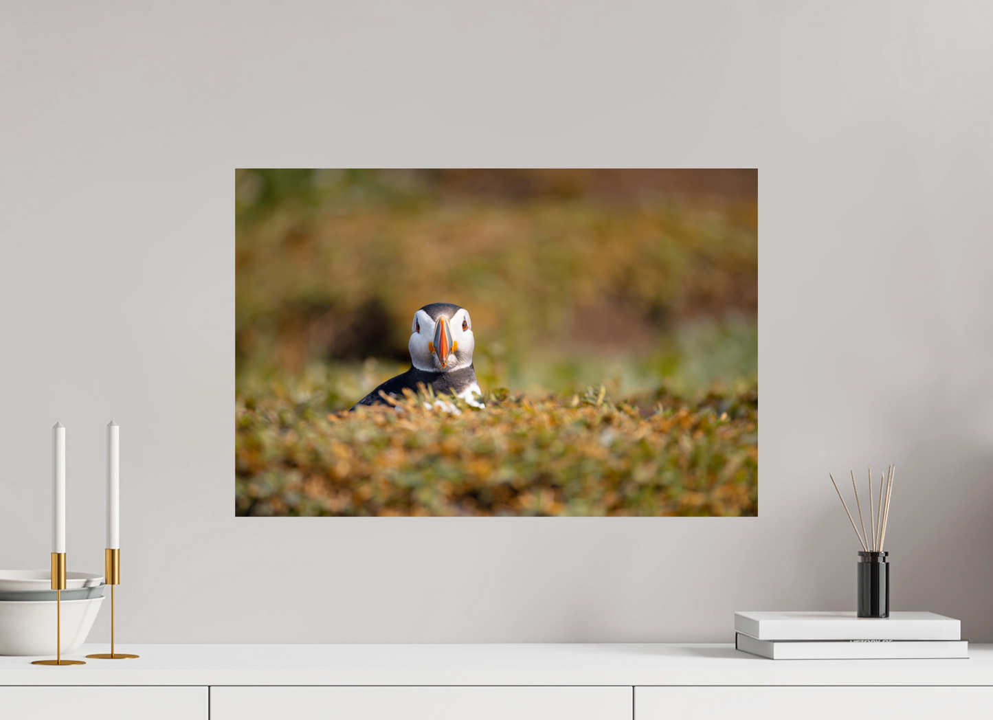 60 x 40 cm, Smooth Glossy puffin5