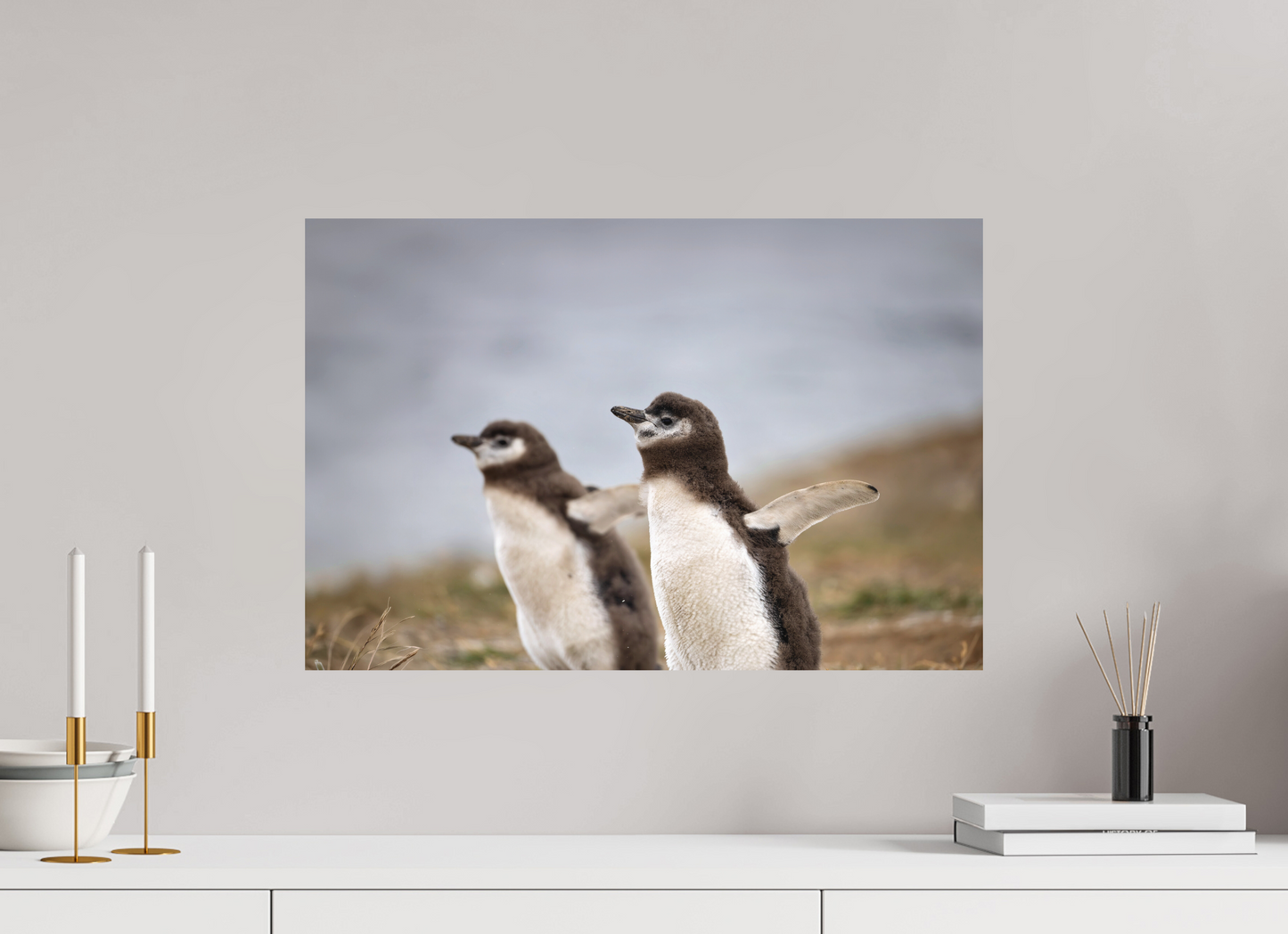 60 x 40 cm, Textured Matte Flightless Birds