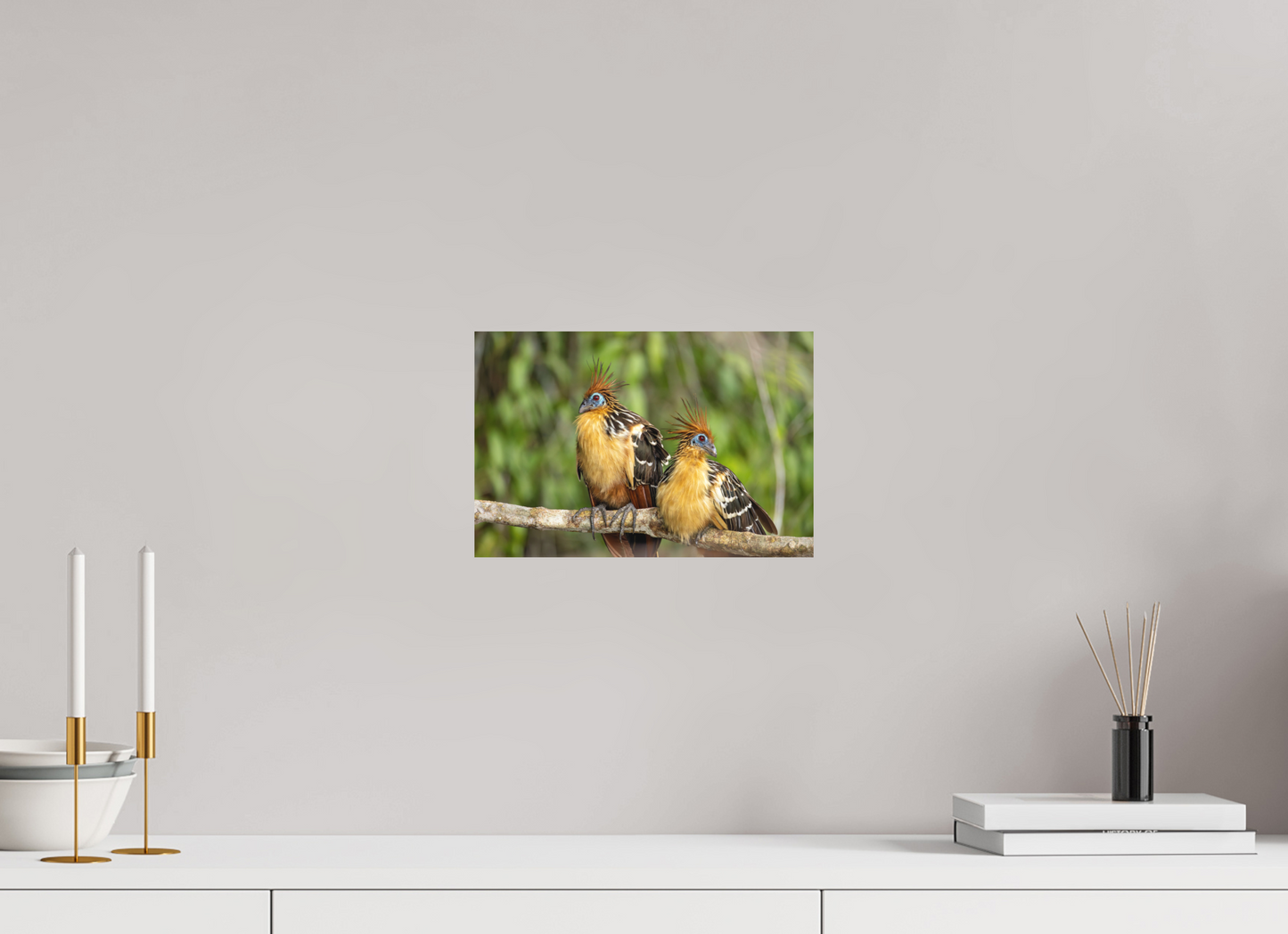 30 x 20 cm, Textured Matte Stinky Birds