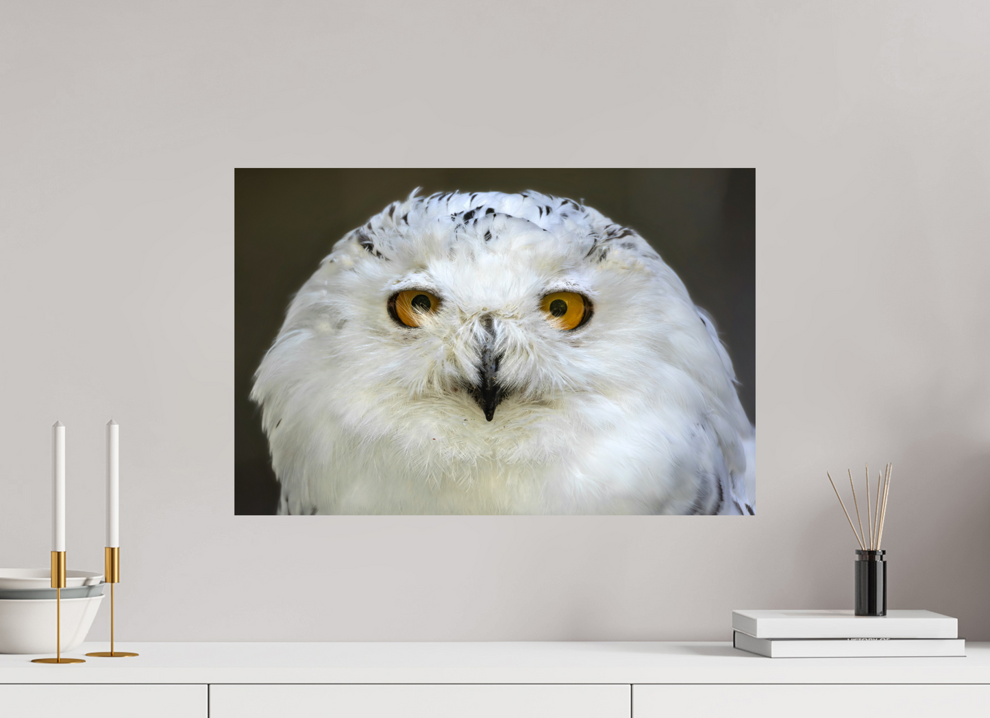 60 x 40 cm, Smooth Glossy snowy owl