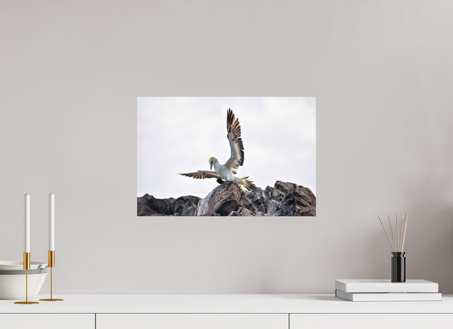 45 x 30 cm, Textured Matte gannet landing