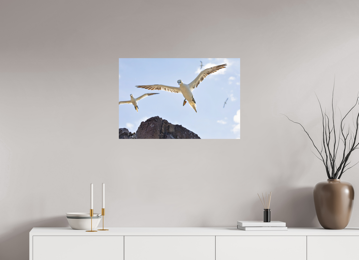75 x 50 cm, Textured Matte Gannets2