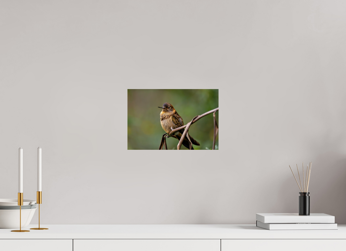 30 x 20 cm, Smooth Glossy hummingbird10