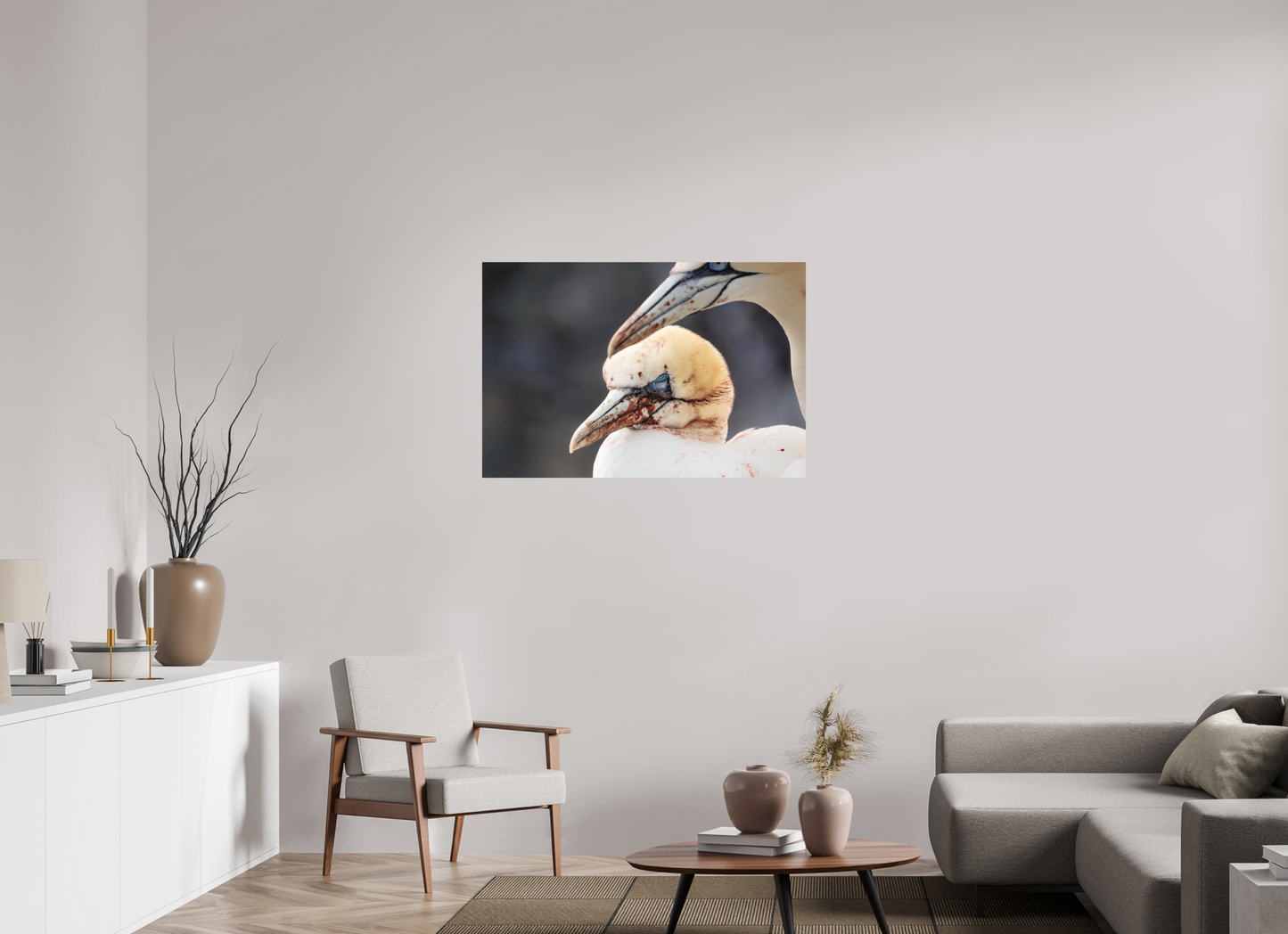 105 x 70 cm, Textured Matte Fighting gannets