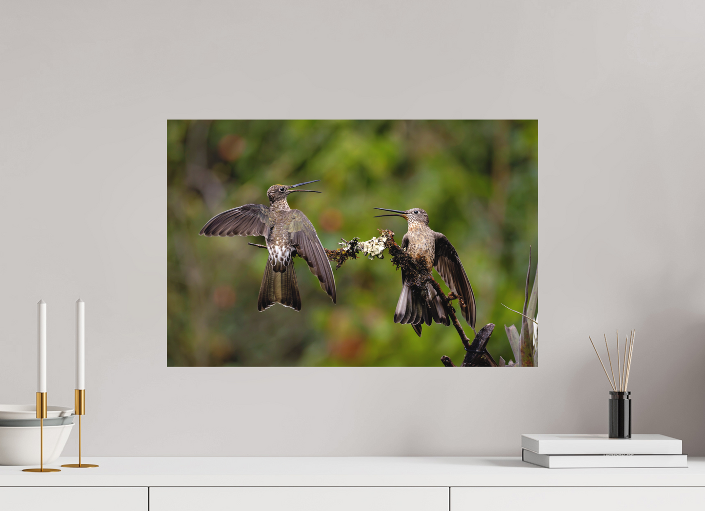 60 x 40 cm, Textured Matte giant hummingbirds