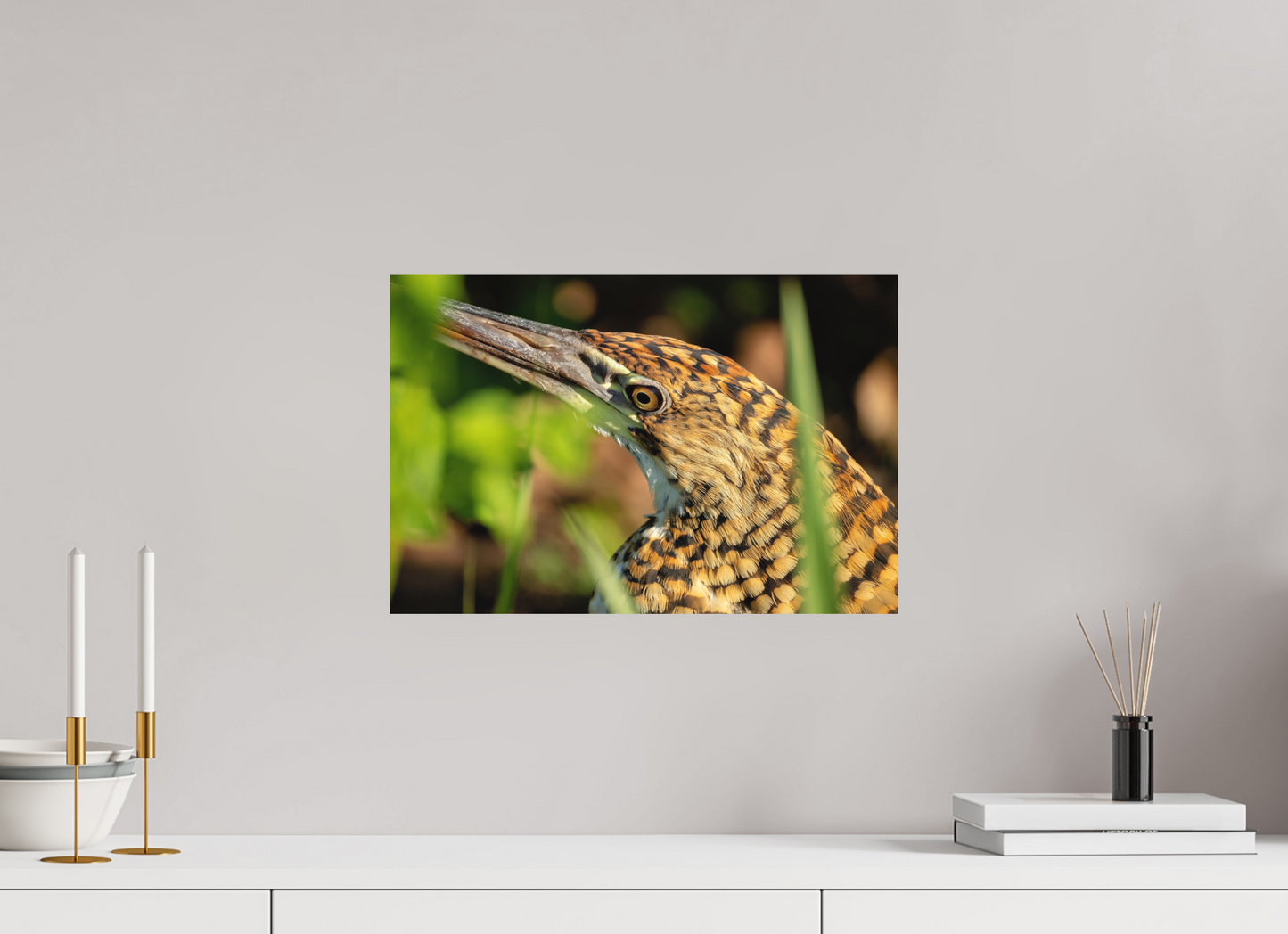45 x 30 cm, Textured Matte tiger heron hunting 2