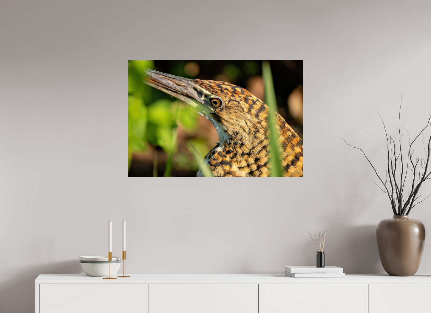 90 x 60 cm, Smooth Glossy tiger heron hunting 2