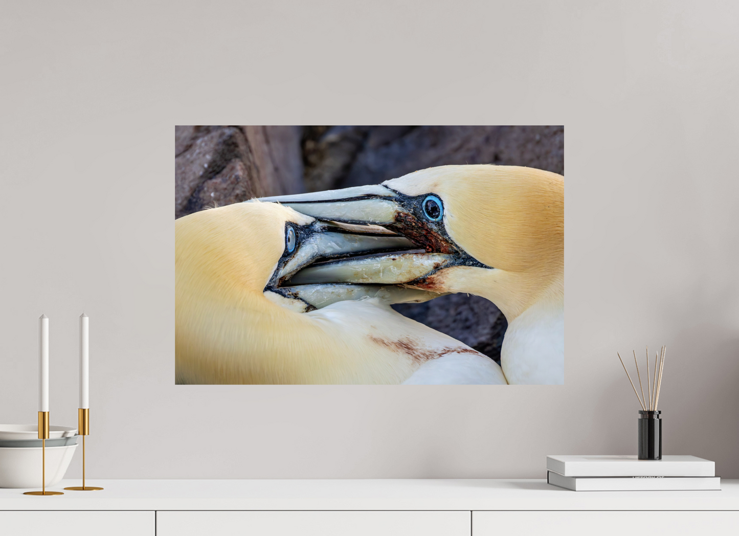 60 x 40 cm, Smooth Glossy Backed Against A Wall
