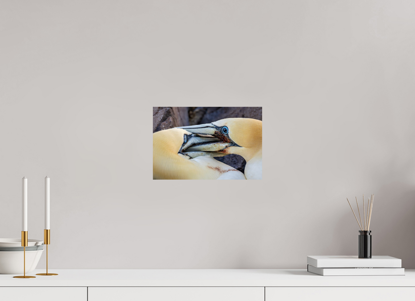 30 x 20 cm, Smooth Glossy Backed Against A Wall