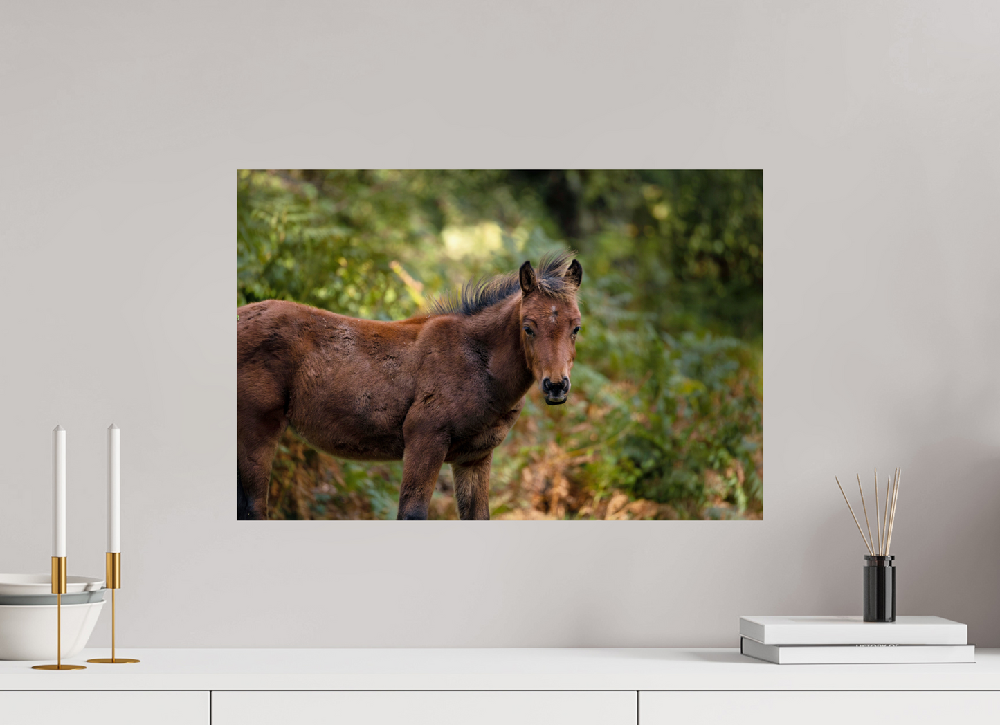 60 x 40 cm, Smooth Glossy horse