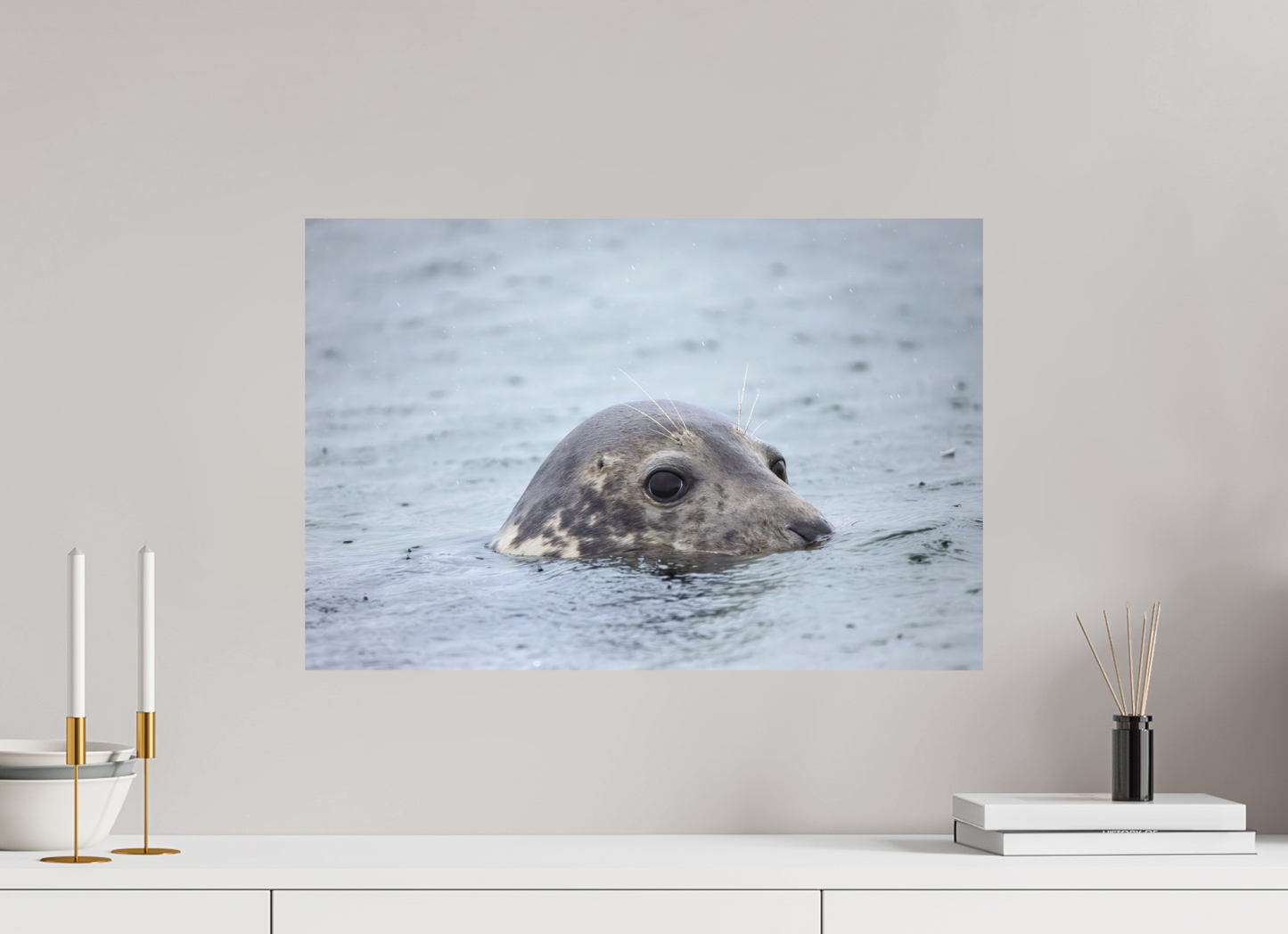 60 x 40 cm, Textured Matte seal in the rain 3