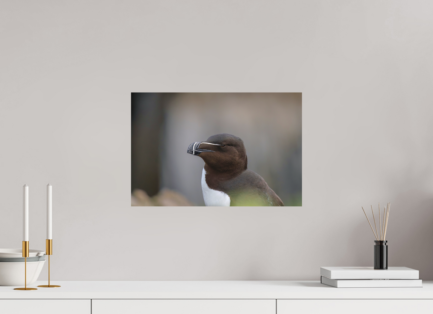 45 x 30 cm, Textured Matte Razorbill