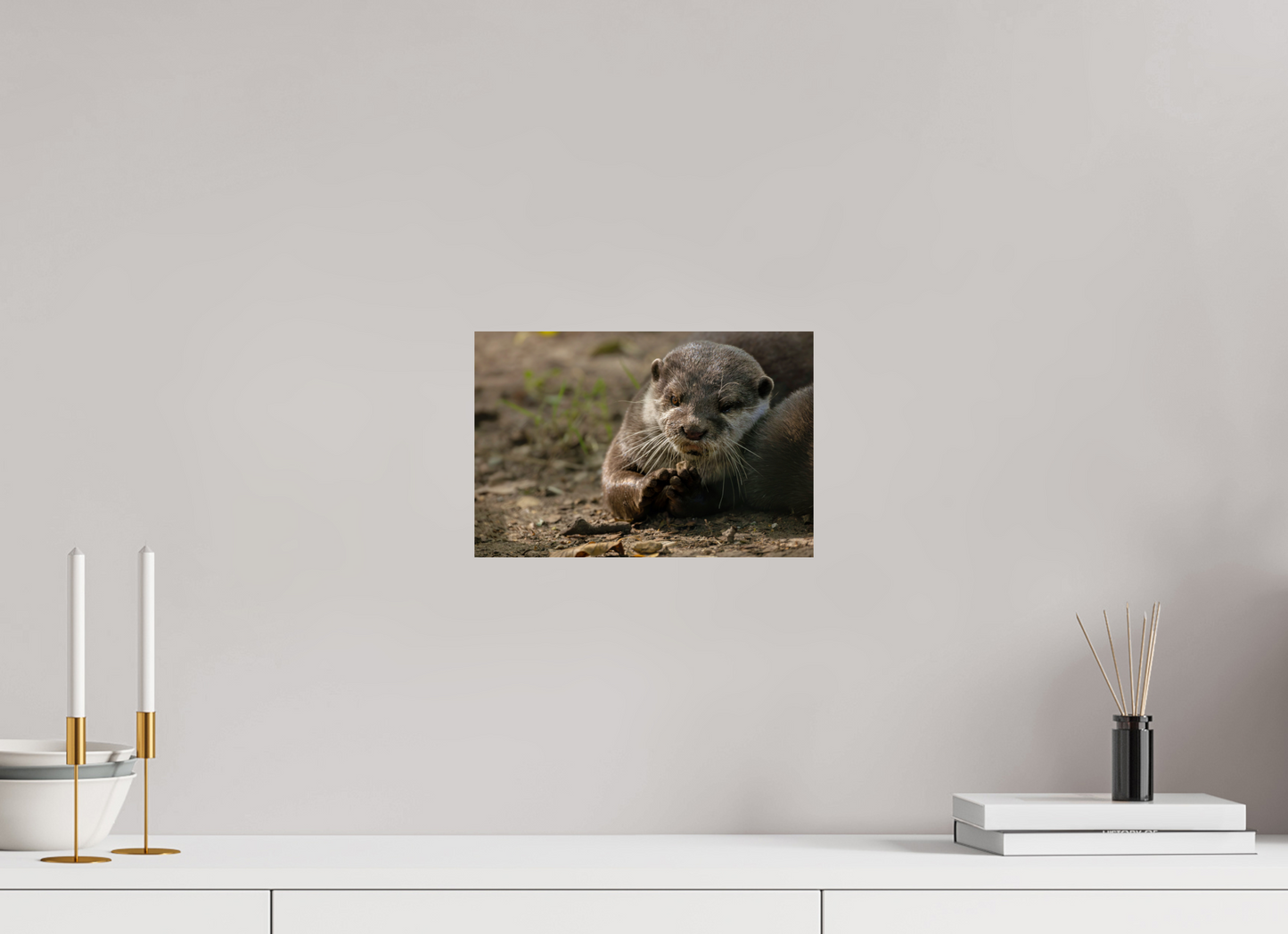 30 x 20 cm, Smooth Glossy otter3
