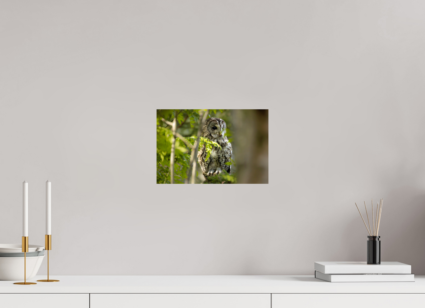 30 x 20 cm, Smooth Glossy owl