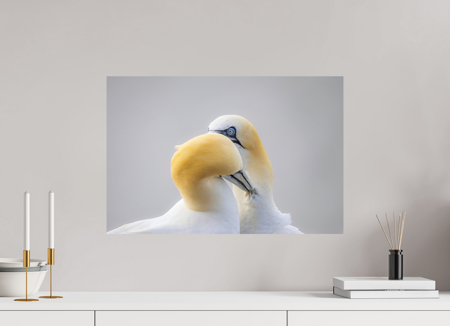 60 x 40 cm, Smooth Glossy Preening