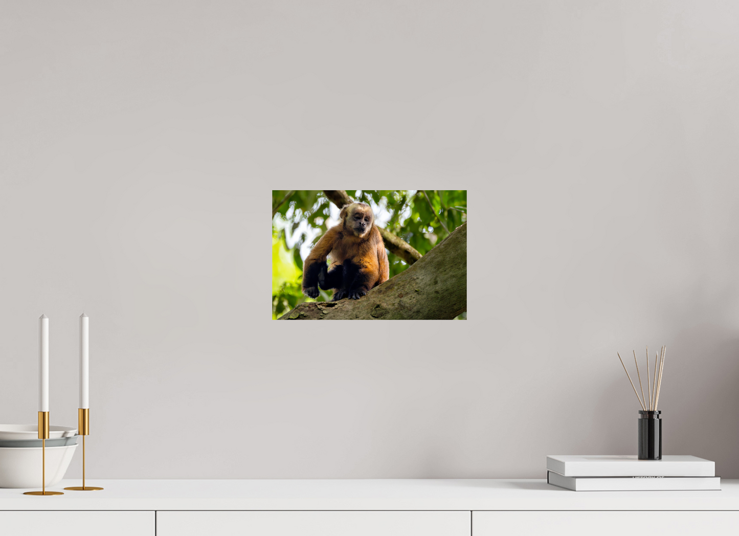 30 x 20 cm, Smooth Glossy Capuchin