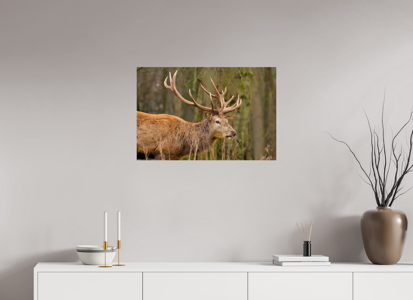 75 x 50 cm, Smooth Glossy Deer