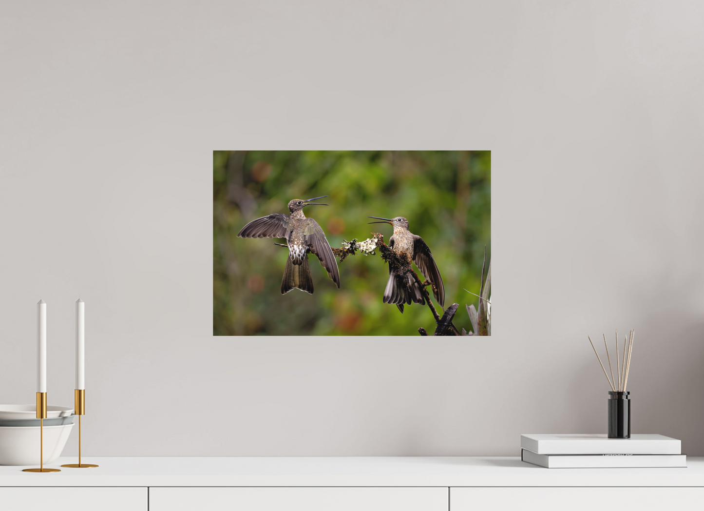 45 x 30 cm, Textured Matte giant hummingbirds