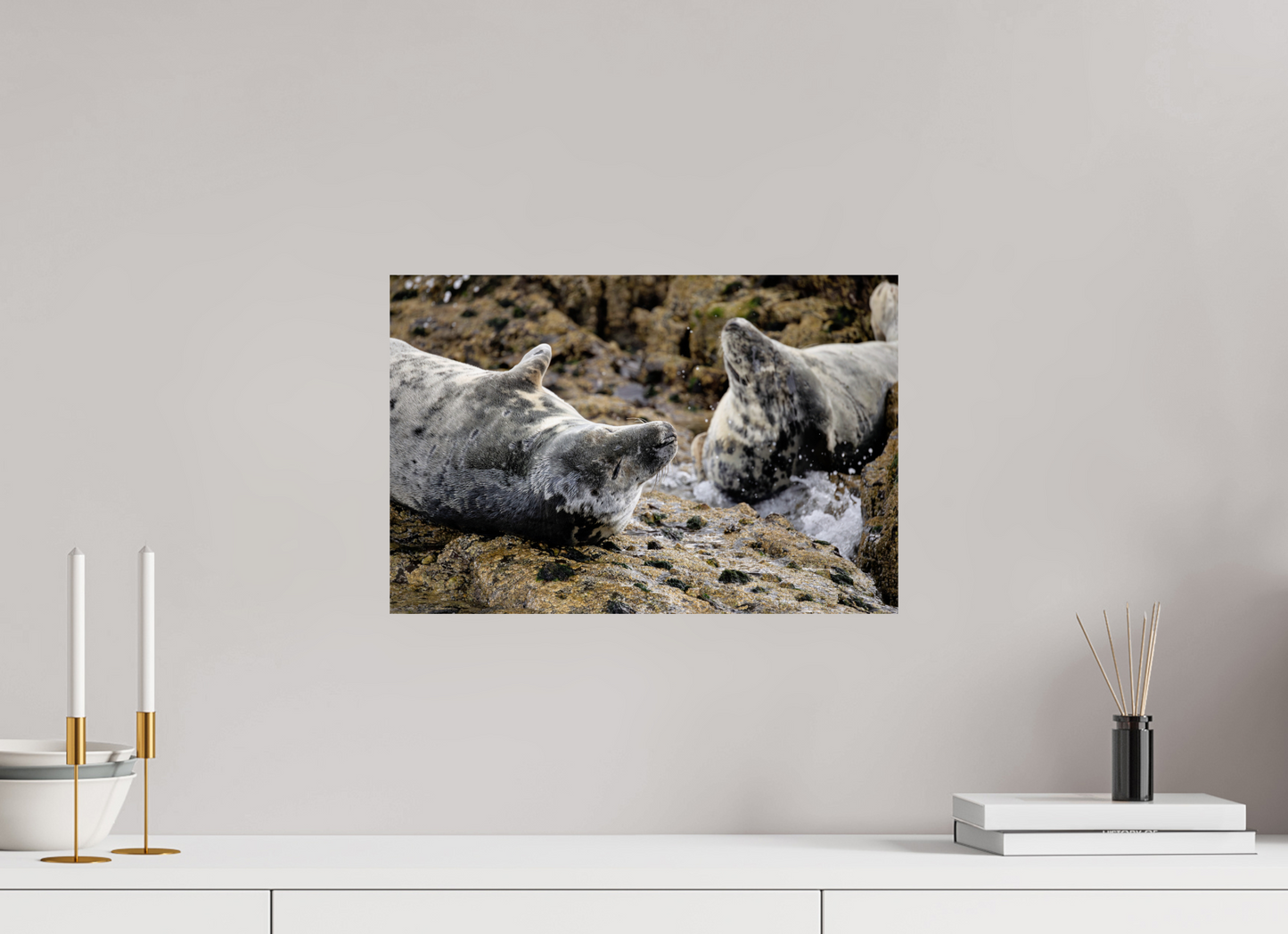 45 x 30 cm, Smooth Glossy .