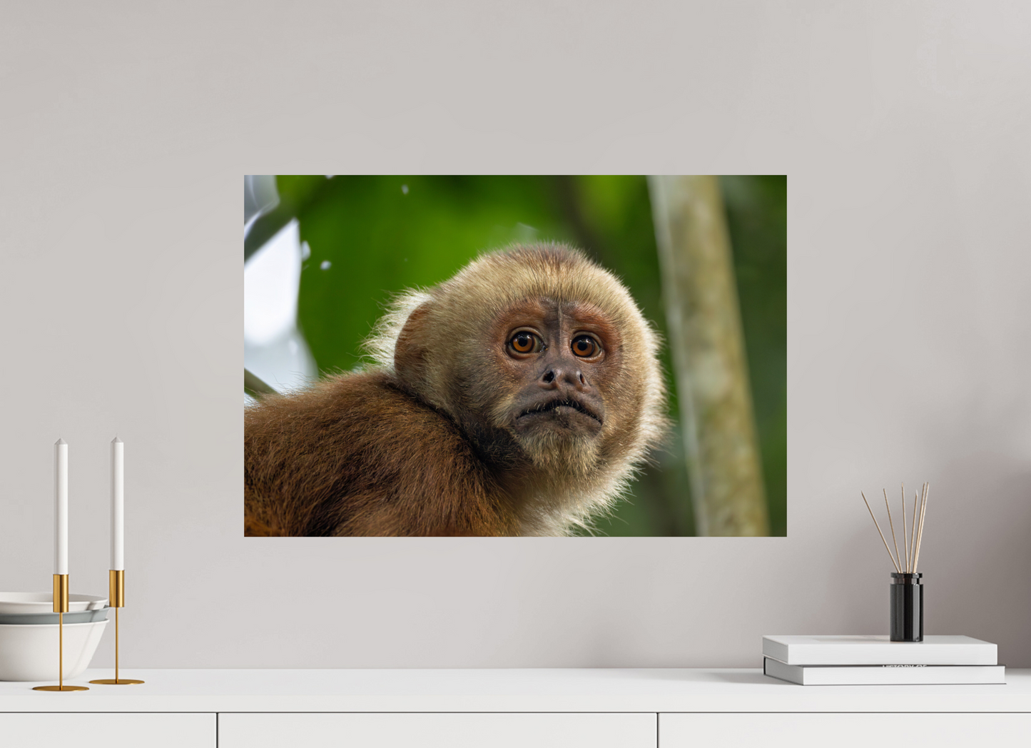 60 x 40 cm, Smooth Glossy .