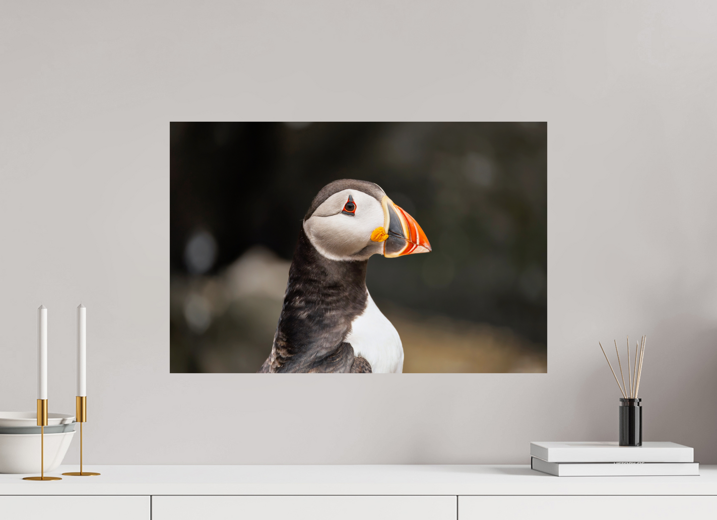 60 x 40 cm, Smooth Glossy puffin5