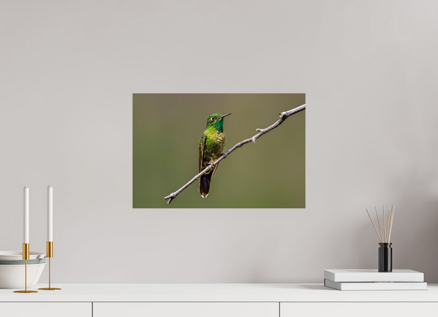 45 x 30 cm, Smooth Glossy hummingbird5