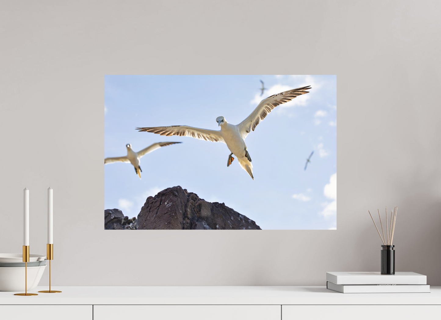 60 x 40 cm, Textured Matte Gannets2