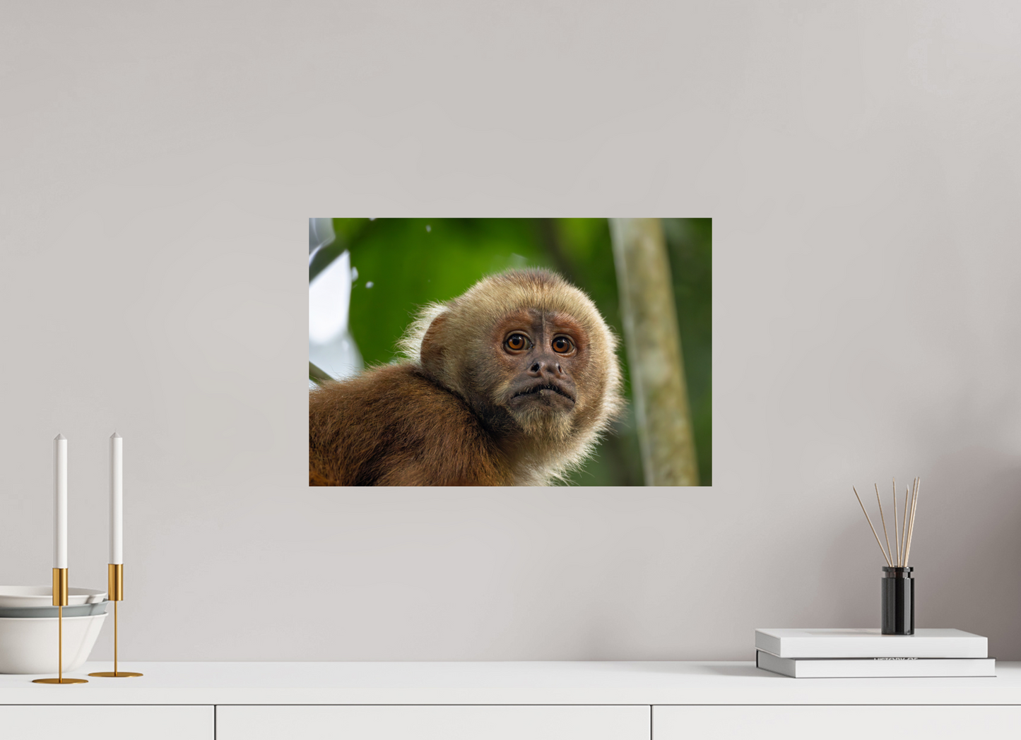 45 x 30 cm, Smooth Glossy .