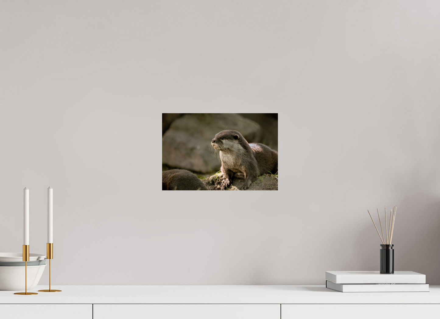 30 x 20 cm, Smooth Glossy otter.