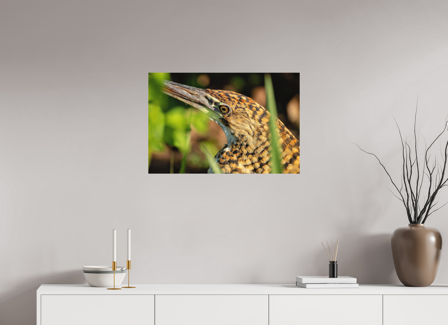 75 x 50 cm, Textured Matte tiger heron hunting 2