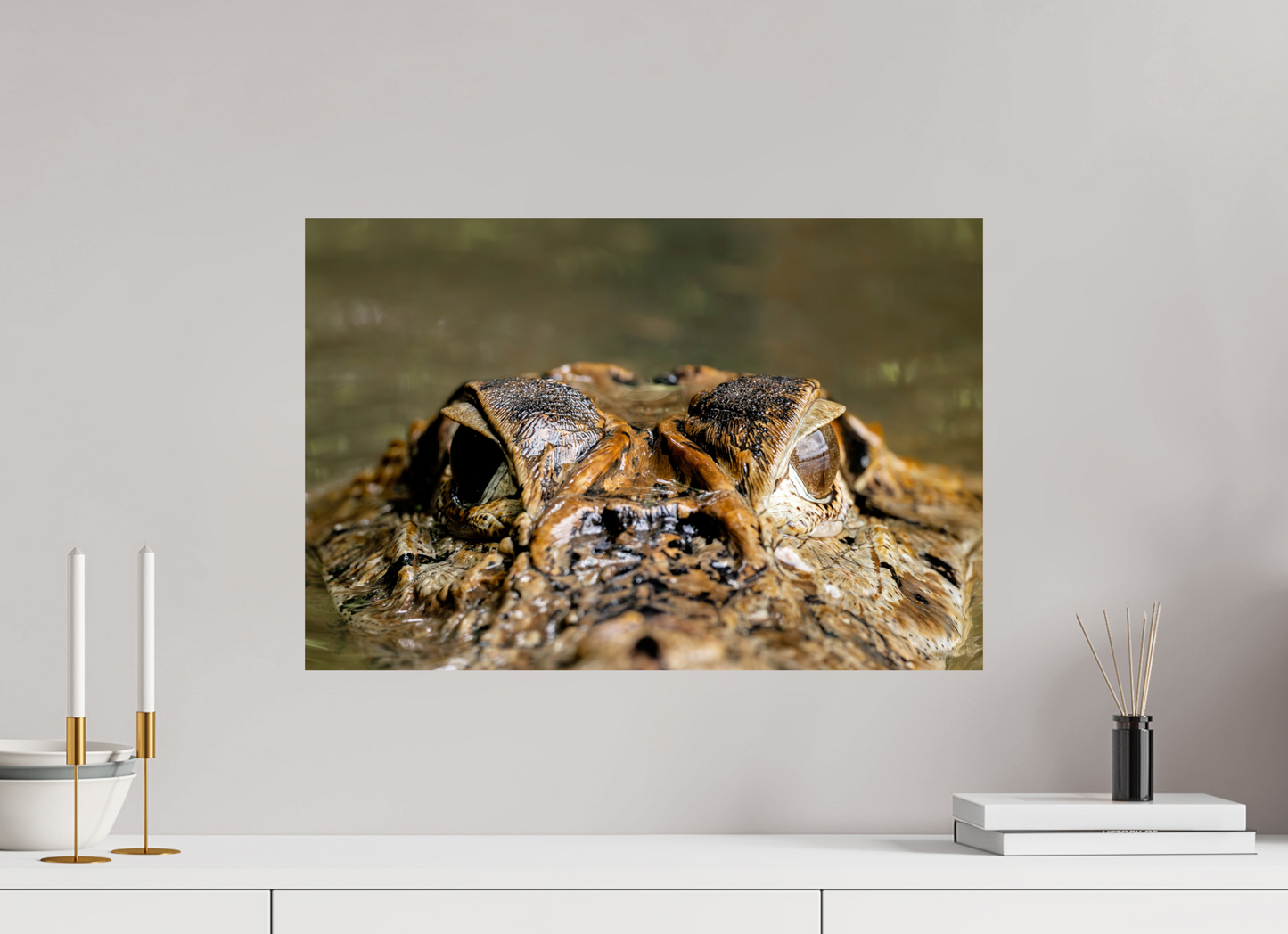 60 x 40 cm, Smooth Glossy Caiman