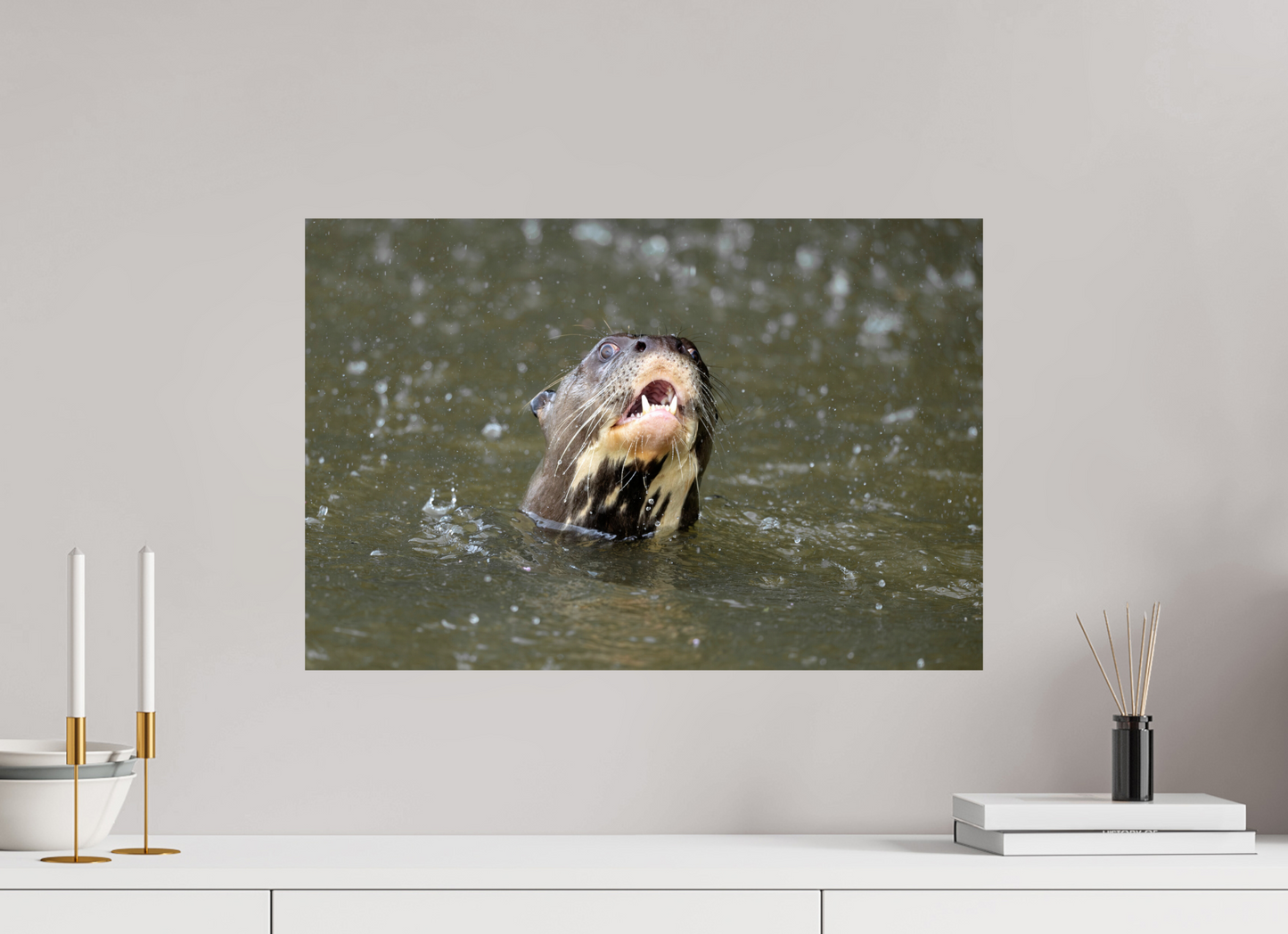60 x 40 cm, Smooth Glossy Giant Otter