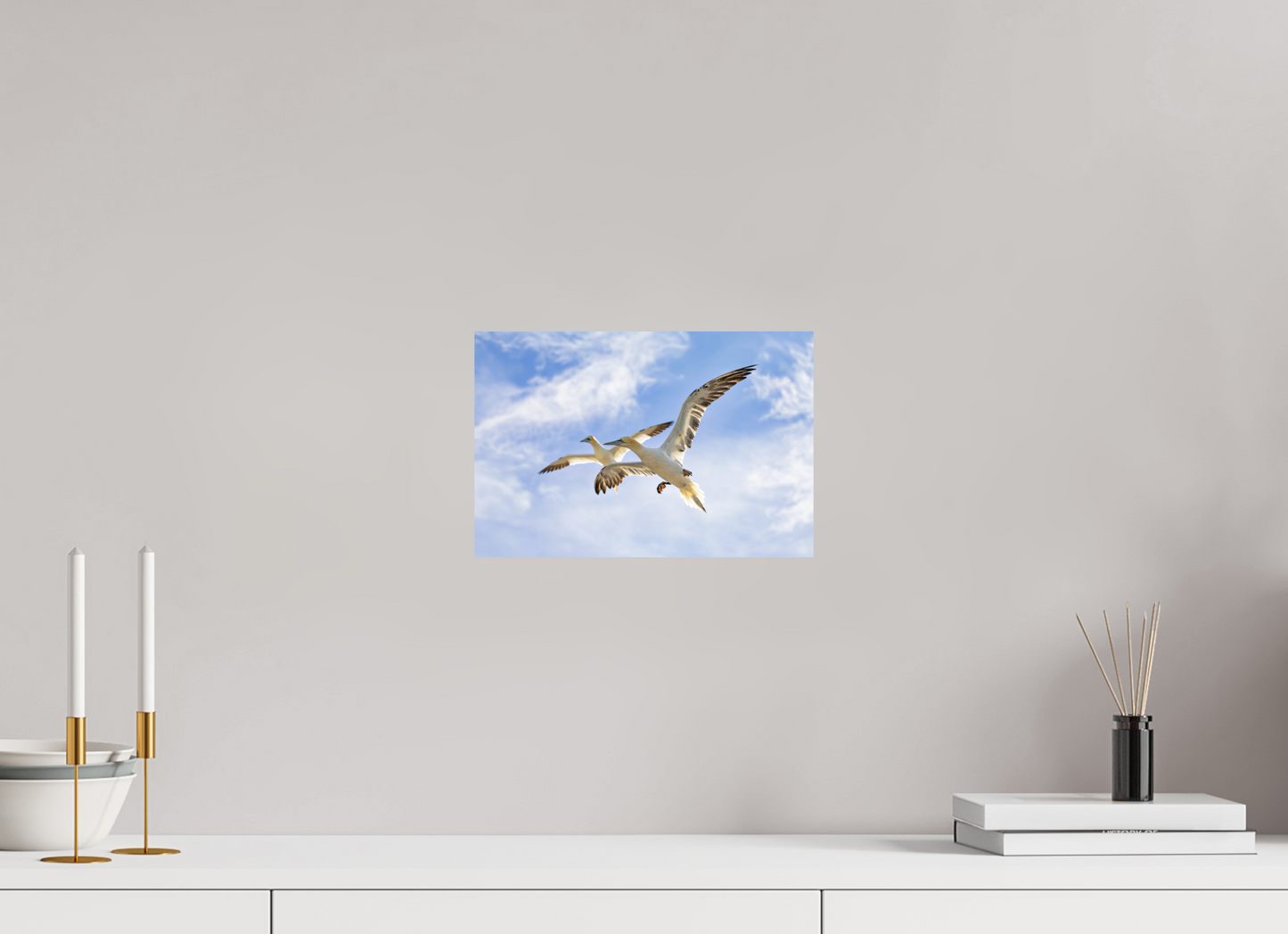 30 x 20 cm, Textured Matte Soaring Seabirds