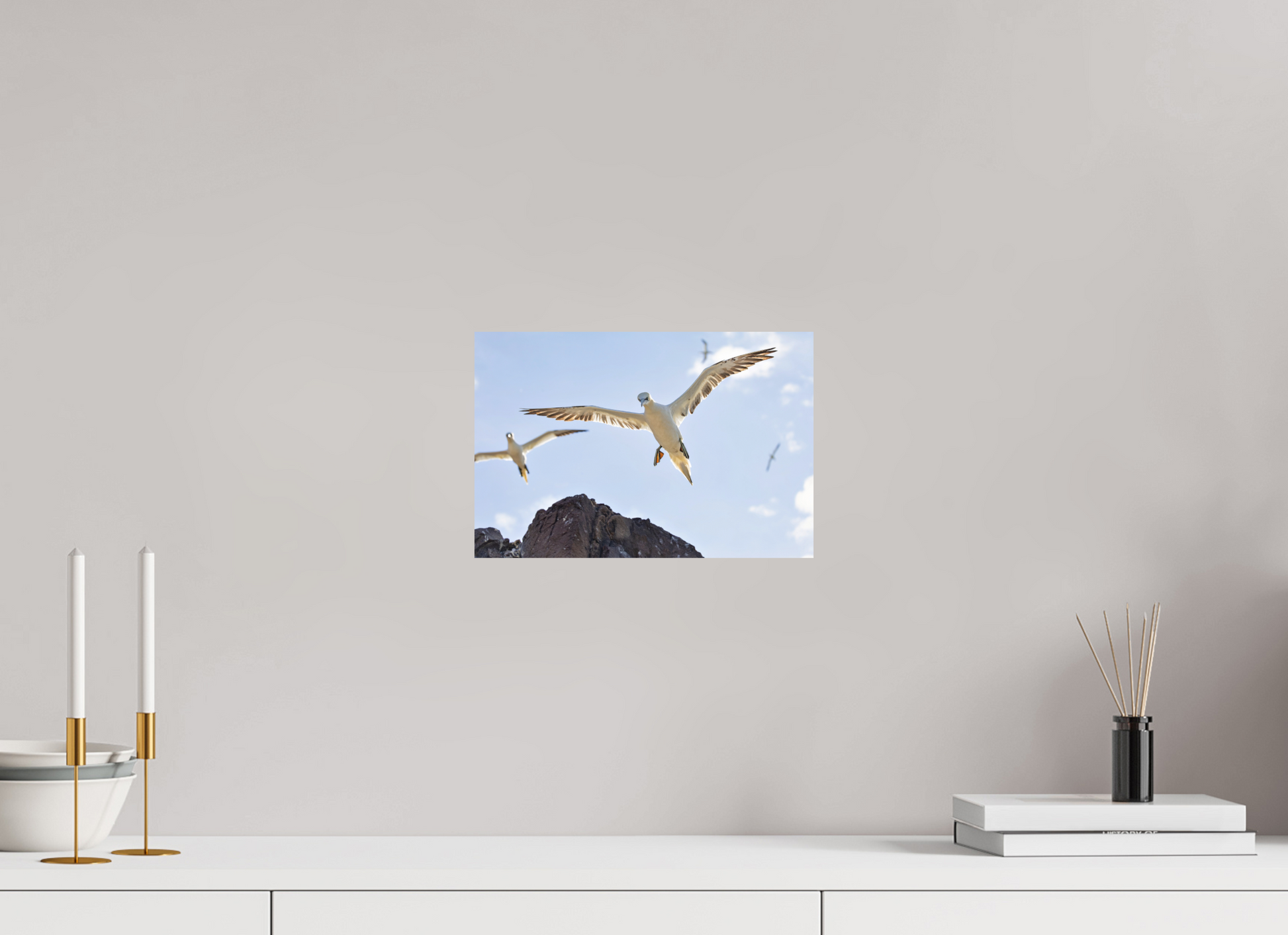 30 x 20 cm, Textured Matte Gannets2