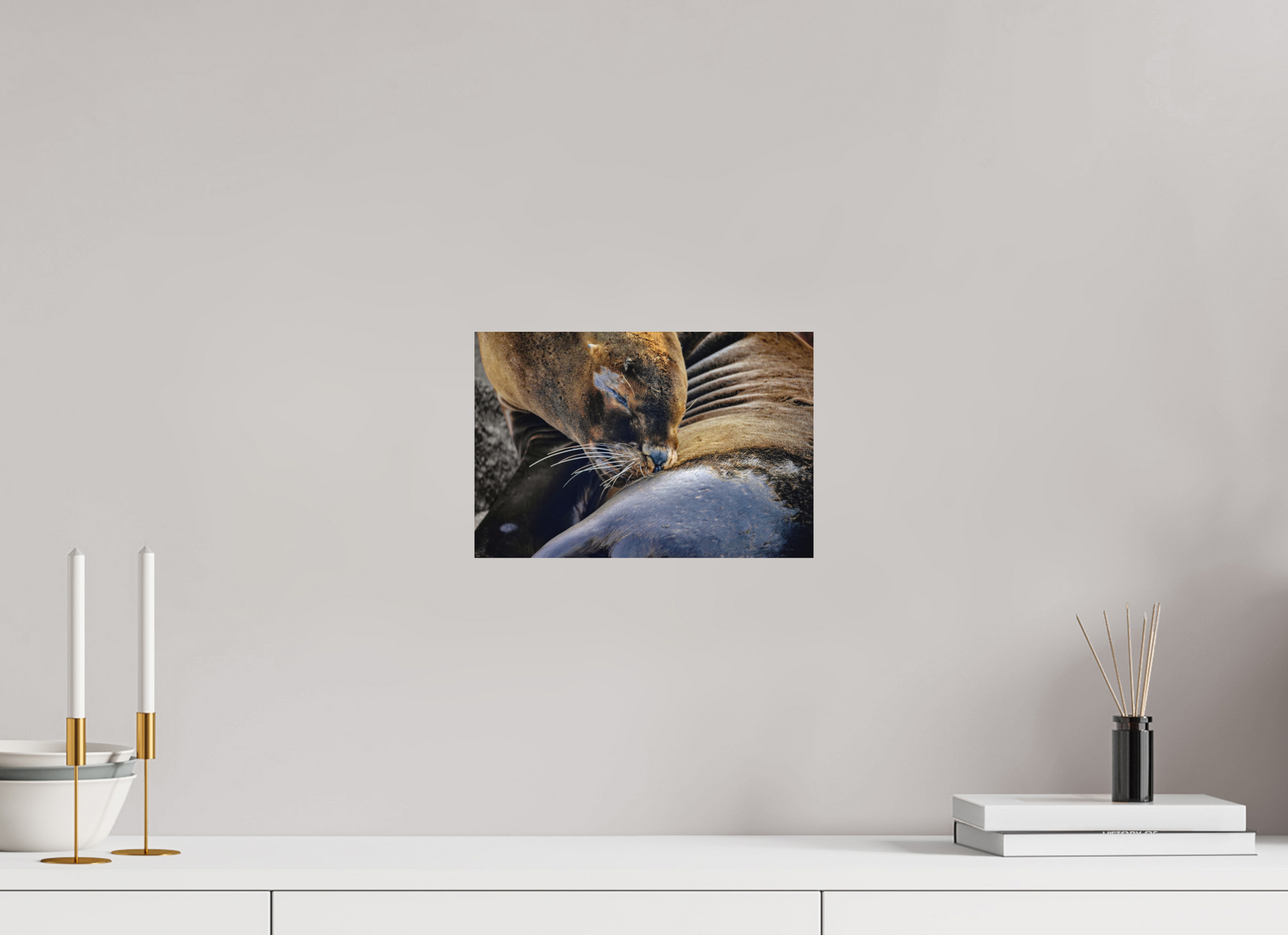 30 x 20 cm, Textured Matte sea lion