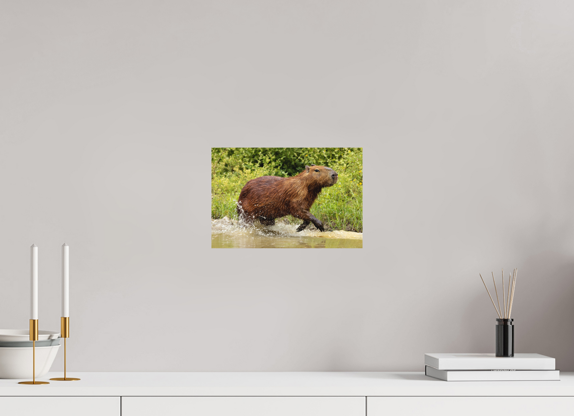 30 x 20 cm, Textured Matte Capybara