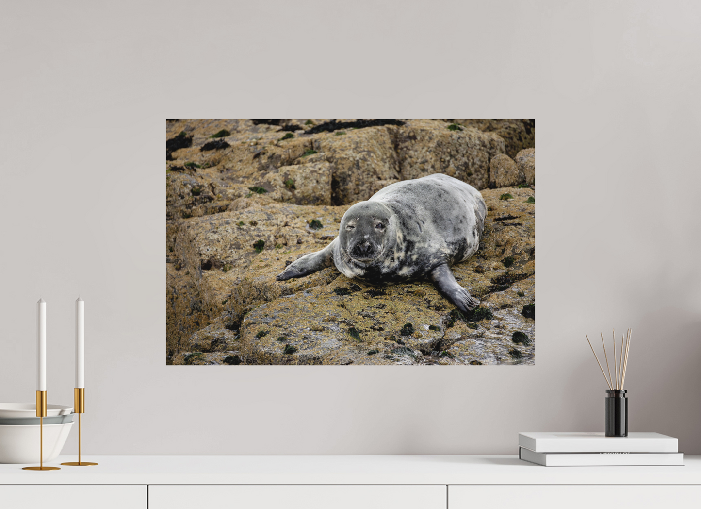 60 x 40 cm, Textured Matte .