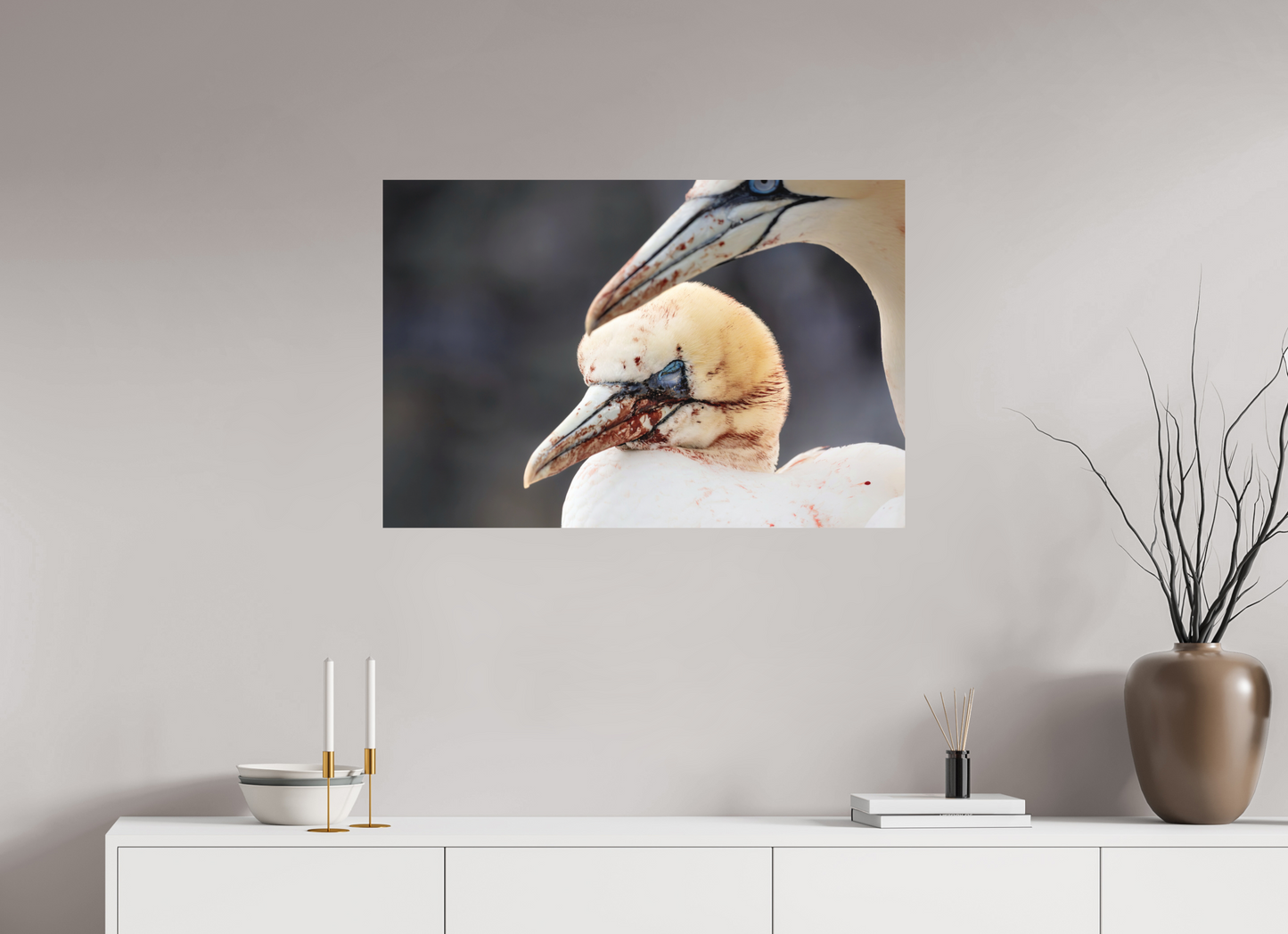 90 x 60 cm, Textured Matte Fighting gannets