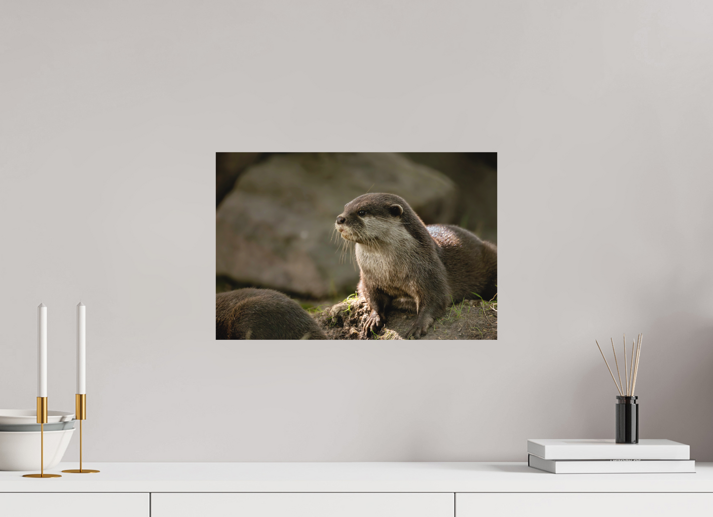 45 x 30 cm, Textured Matte otter.
