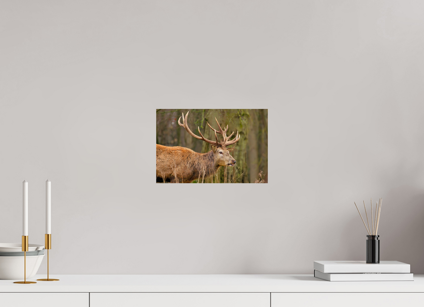 30 x 20 cm, Smooth Glossy Deer