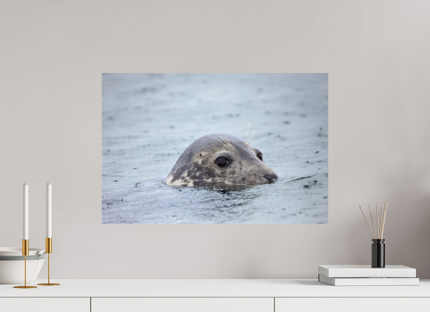 60 x 40 cm, Smooth Glossy seal in the rain 3