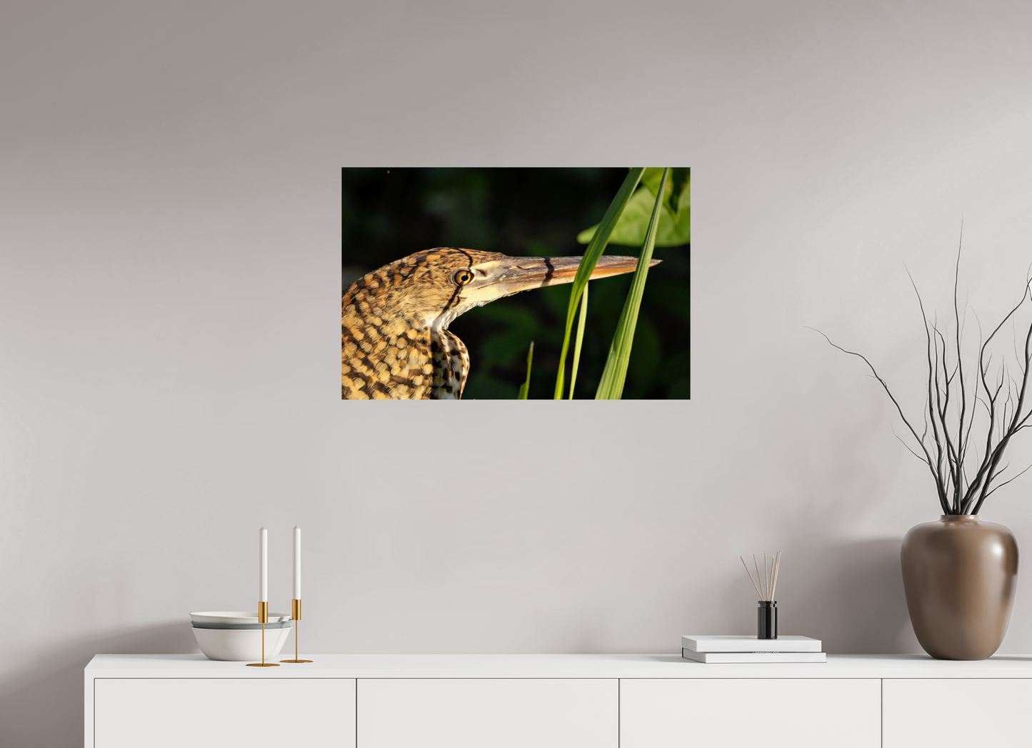 75 x 50 cm, Smooth Glossy tiger heron hunting