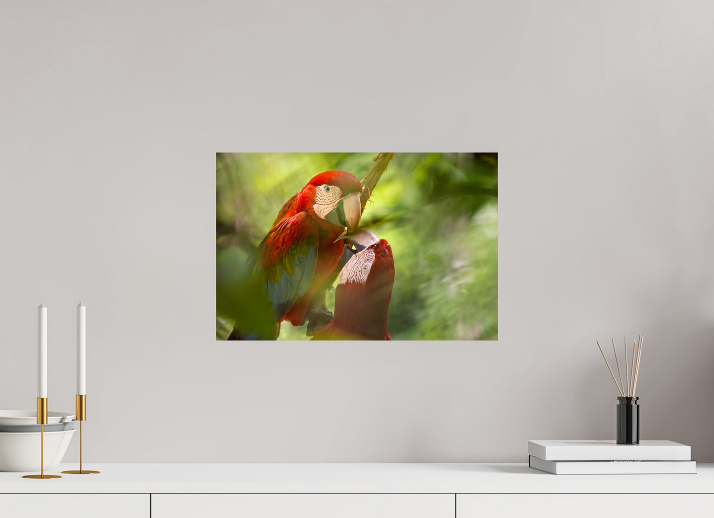 45 x 30 cm, Smooth Glossy Macaw