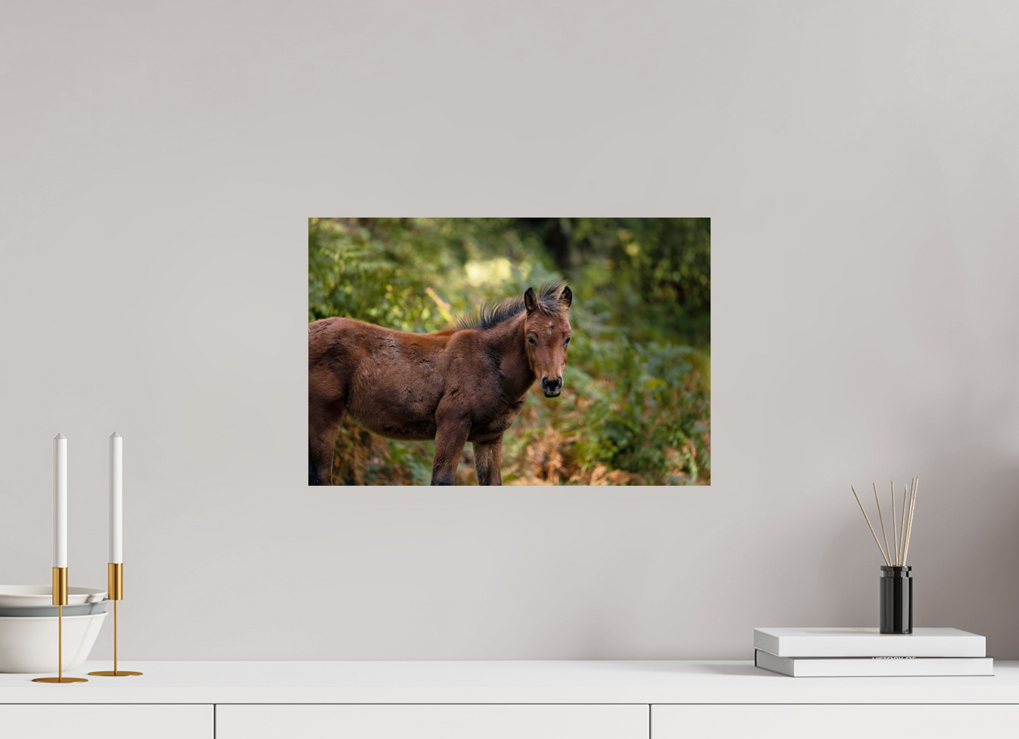 45 x 30 cm, Smooth Glossy horse