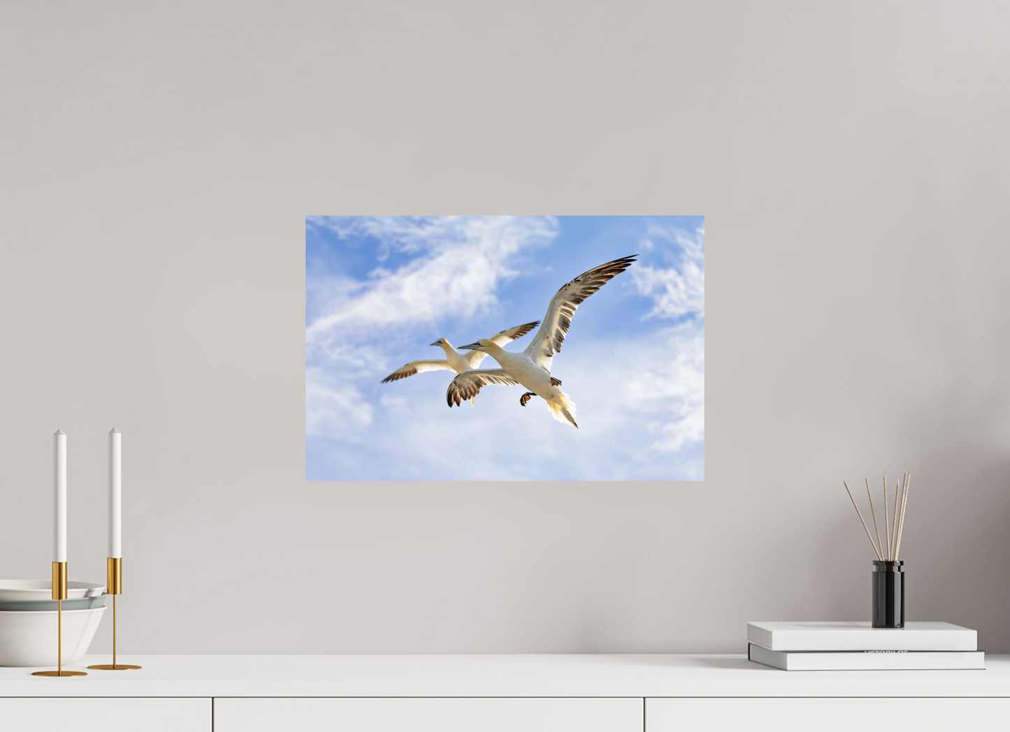 45 x 30 cm, Smooth Glossy Soaring Seabirds