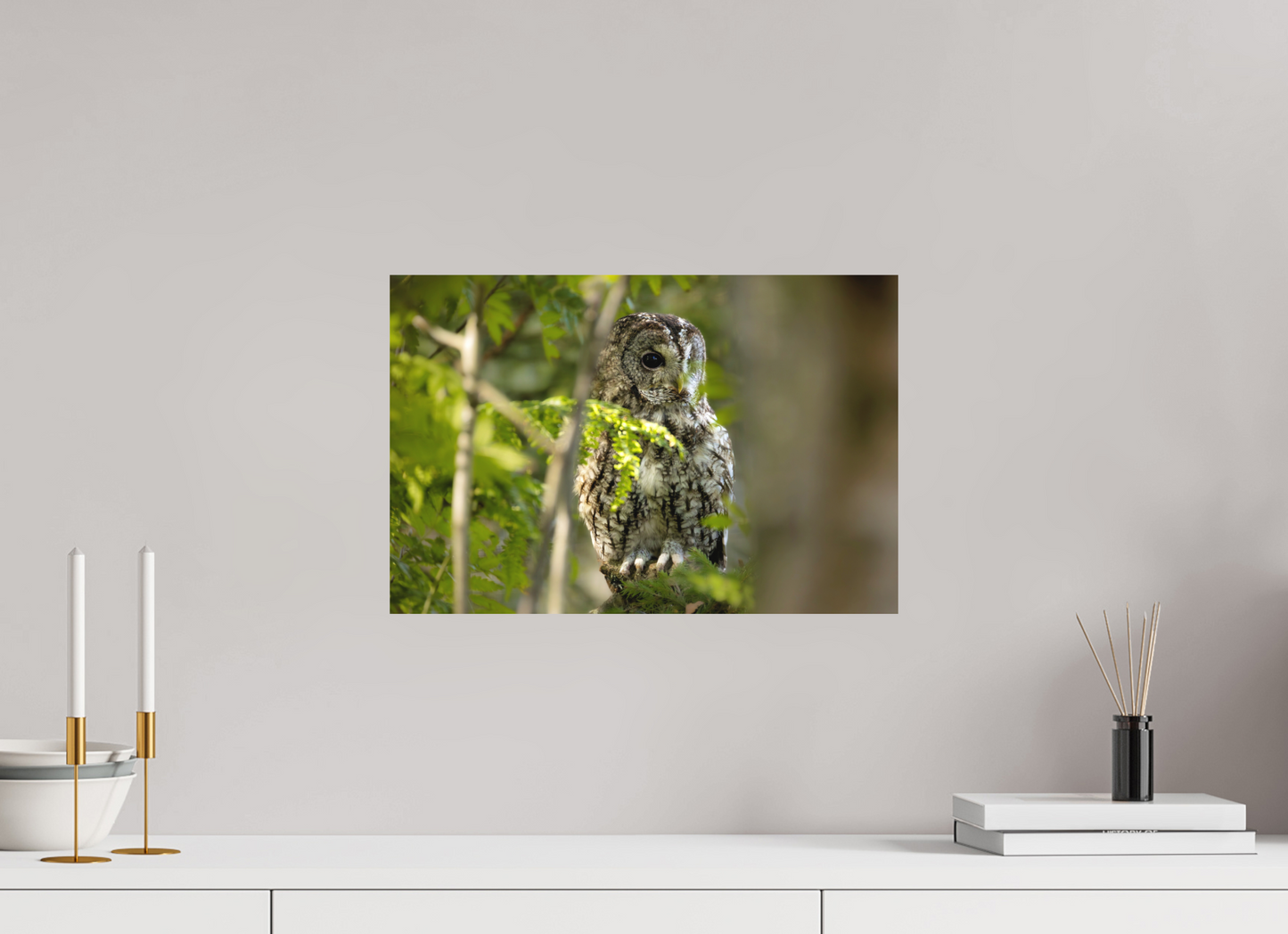 45 x 30 cm, Textured Matte owl