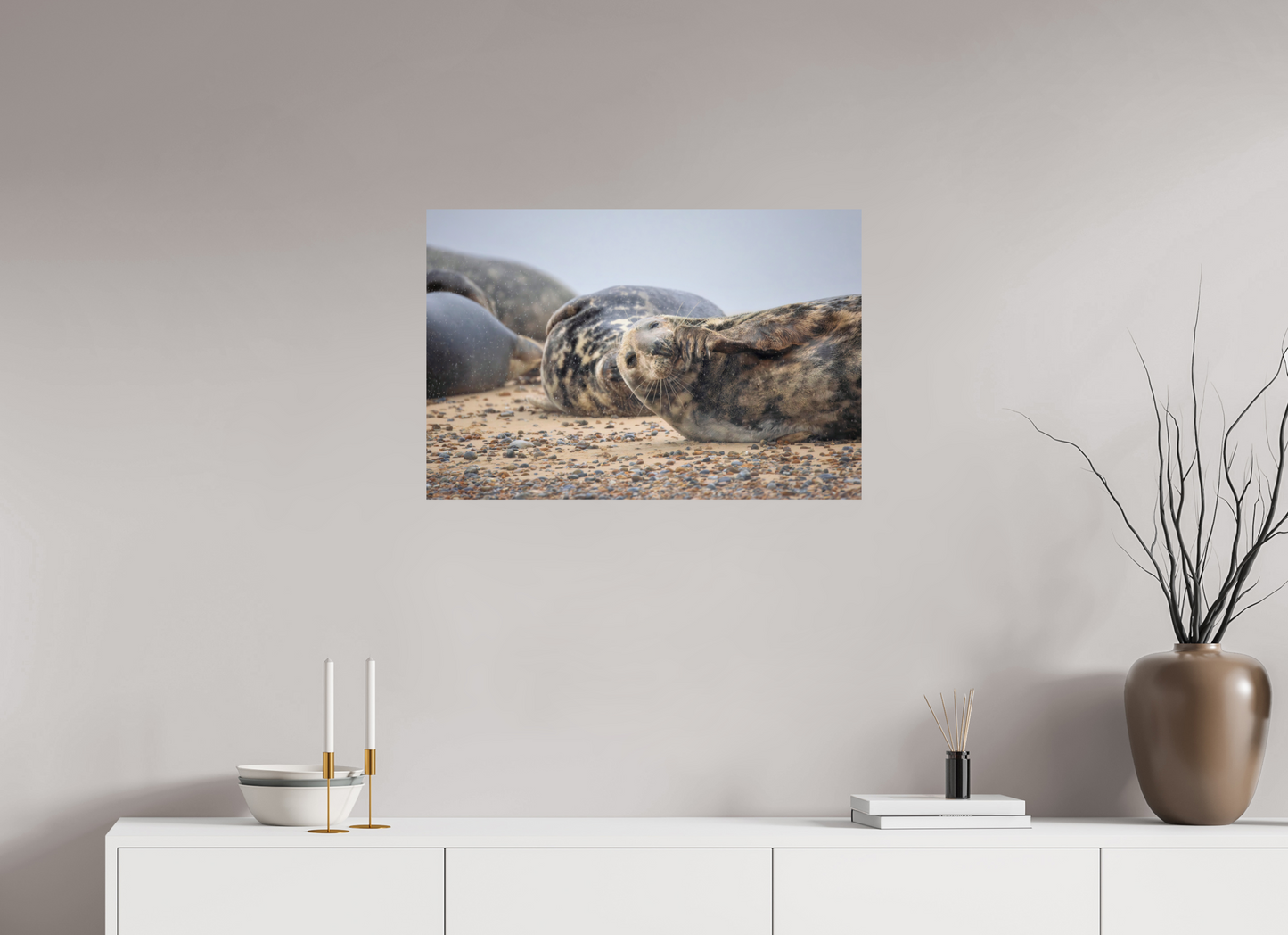 75 x 50 cm, Smooth Glossy seals in the rain 4