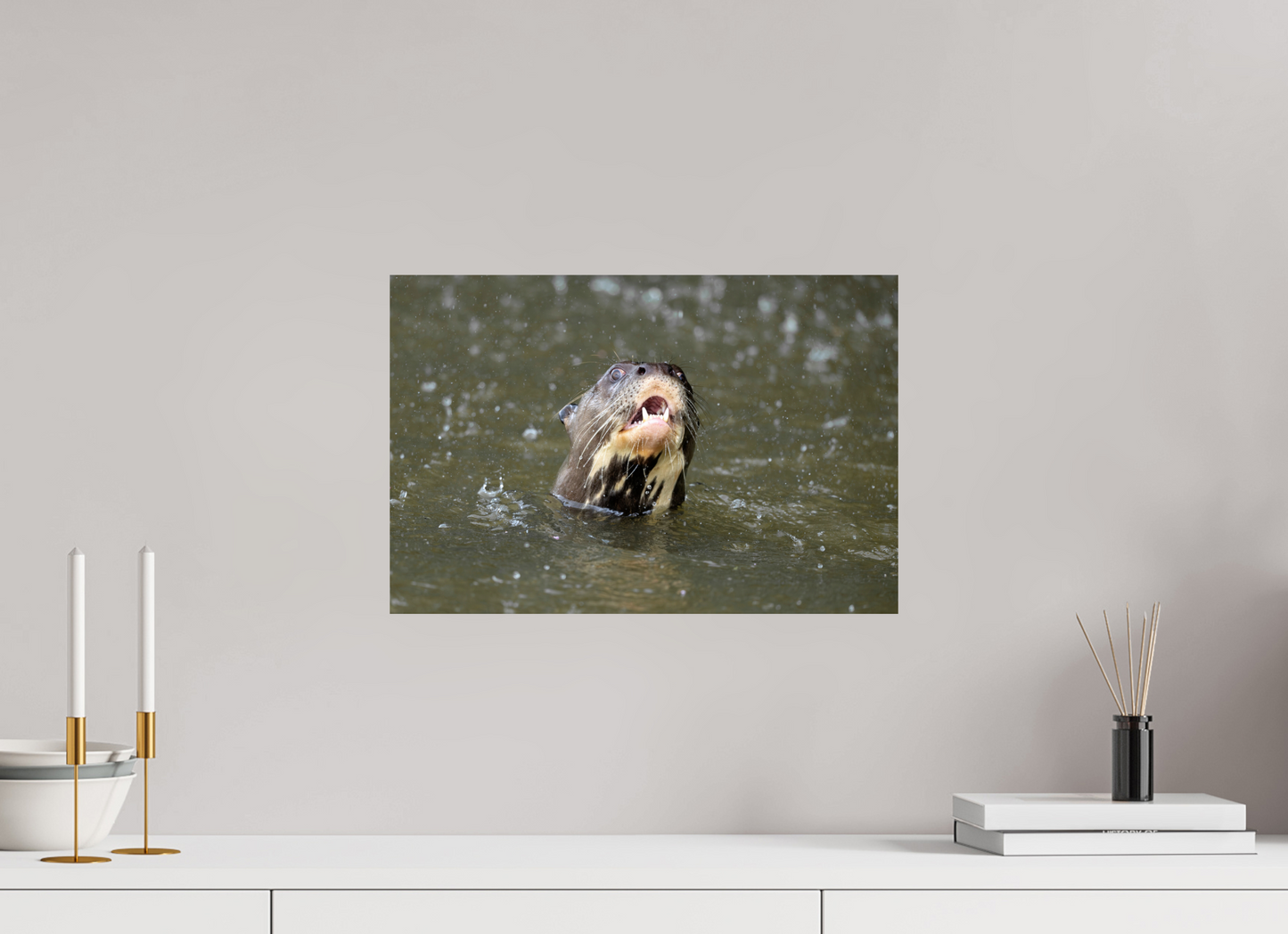 45 x 30 cm, Smooth Glossy Giant Otter