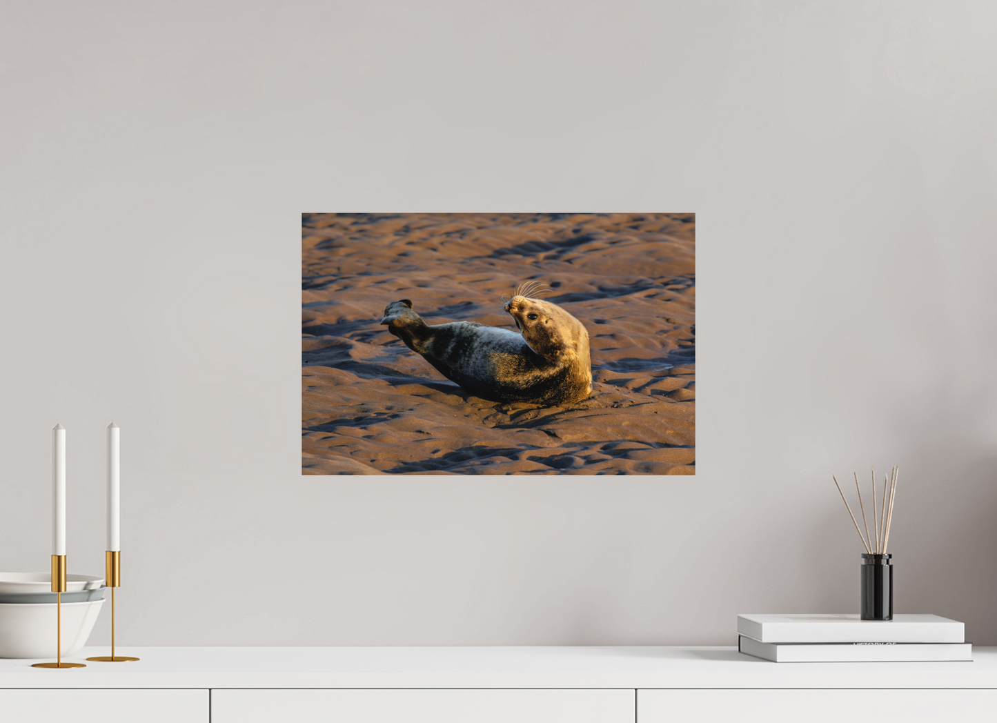 45 x 30 cm, Textured Matte young seal
