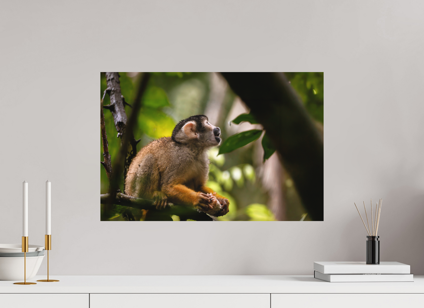 60 x 40 cm, Textured Matte Squirrel Monkey